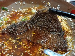 -渝大狮毛肚老火锅(普陀店)