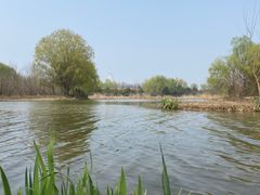 -西安浐灞国家湿地公园