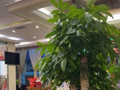 -新粤新疆菜清真餐厅(拱北店)