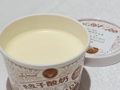 奶皮子酸奶-大铁勺新津菜(东丽阳光新业广场店)