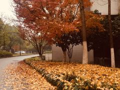 -江南大学(蠡湖校区)