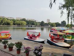 -二一九公园