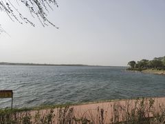 -丁香湖公园