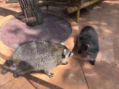 -南戴河国际娱乐中心