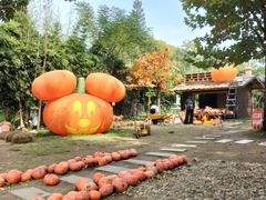 -HERRE·FARM 赫尔露营农场·团建聚会包场