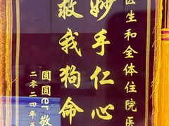 -瑞派天使宠物医院·神经外科·骨科·核磁(洛川中路店)