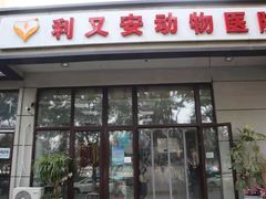 -利又安动物医院··老年病·猫科犬科·中兽医