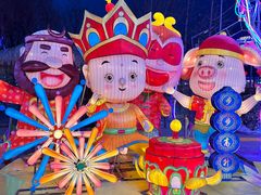 -南宫五洲植物乐园