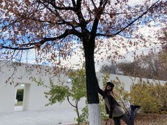 -长春世界雕塑园冰雪艺术天地