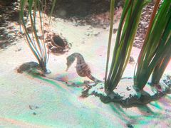 -沈阳海洋探索中心