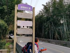 -盘龙黄鳝(盘龙居店)