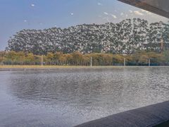 -汕头大学-图书馆