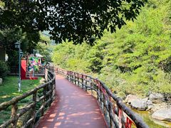 -黄山翡翠谷景区