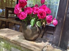 -园林美食城·本土农家菜(杨和镇店)