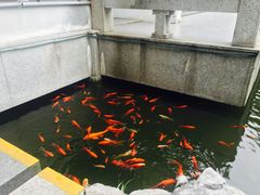 -全季酒店（苏州观前街平江路店）(原临顿路地铁站店)
