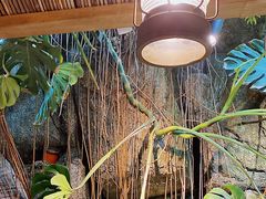 -聚缘堂·海鲜私房菜(松岭路店)
