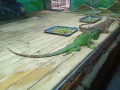 -石家庄市动物园