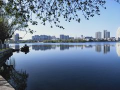 -莫愁湖公园