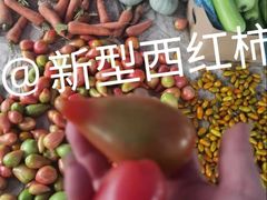 -顺鑫石门市场