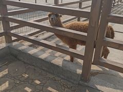 -北戴河集发农业梦想王国