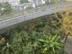 -福道