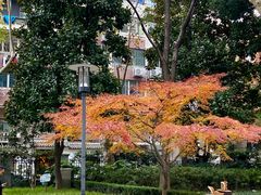 -华山儿童公园