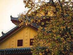 -桂林独秀峰王城景区