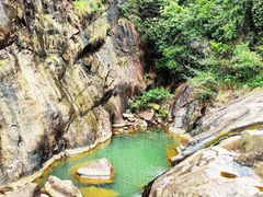 -广州白江湖森林公园