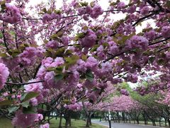 -苏州河梦清园环保主题公园