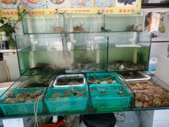 水产区-胖子饺子馆·海鲜家常菜(海军博物馆店)