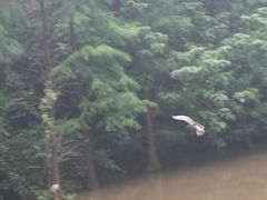 -云溪植物园