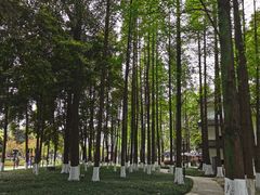 -温江公园