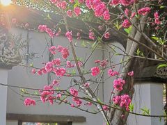 -乌山风景区
