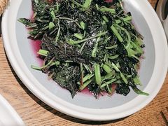-鸽子窝(青塔店)