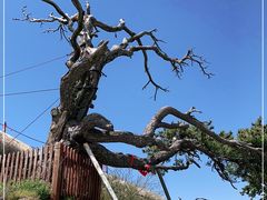 -华山风景名胜区