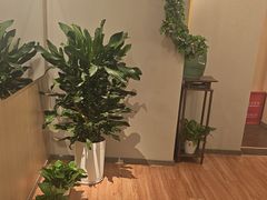 -青曼SPA·按摩·采耳·足道(龙之梦店)