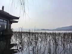 -湖畔居茶楼(湖滨店)