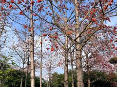 -南宁南湖公园