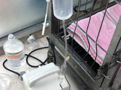 -全心全意连锁动物医院(加州店)