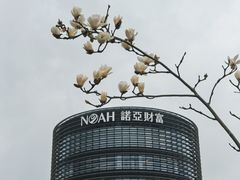 -诺亚财富中心