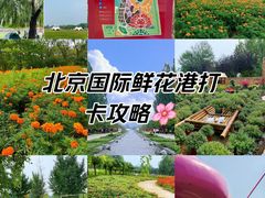 -北京国际鲜花港