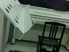 -弘智卉艺术教育/高端琴房(中央音乐学院店)