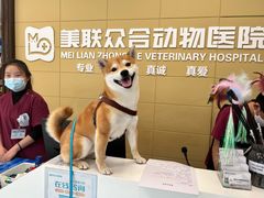 -美联众合爱康动物医院•复杂内科•肿瘤科•牙科•腔镜诊疗中心