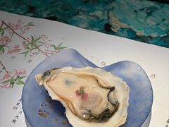 日本生蚝-風料理.鮨Omakase
