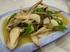 -菌之家·专业纯野生菌火锅·特色炒菌