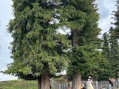 -新疆那拉提国家旅游度假区
