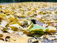 -金堂县云顶石城风景区
