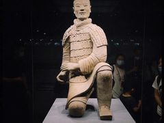 -秦始皇帝陵博物院(兵马俑)