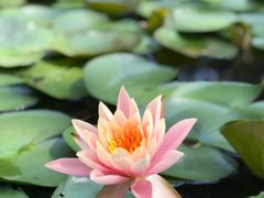 -南京市无想山景区