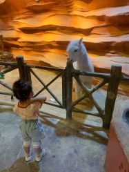 -酷嗒动物文化乐园(cutezoo西溪乐天城店)